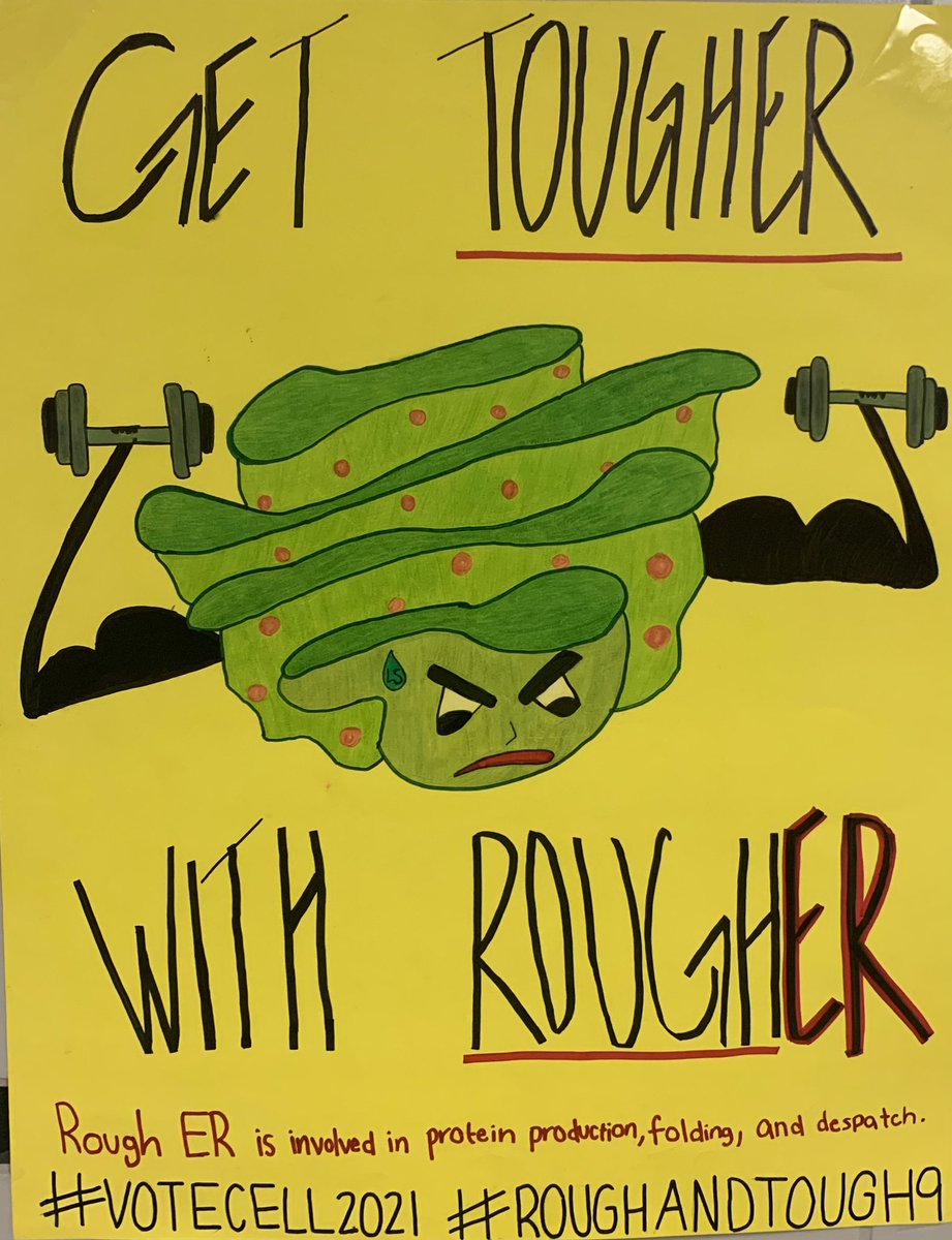 CrawfordMHS's tweet photo. #roughandtough9 #votecell2021 #takeAPBIO https://t.co/ZILy7Oxx0U