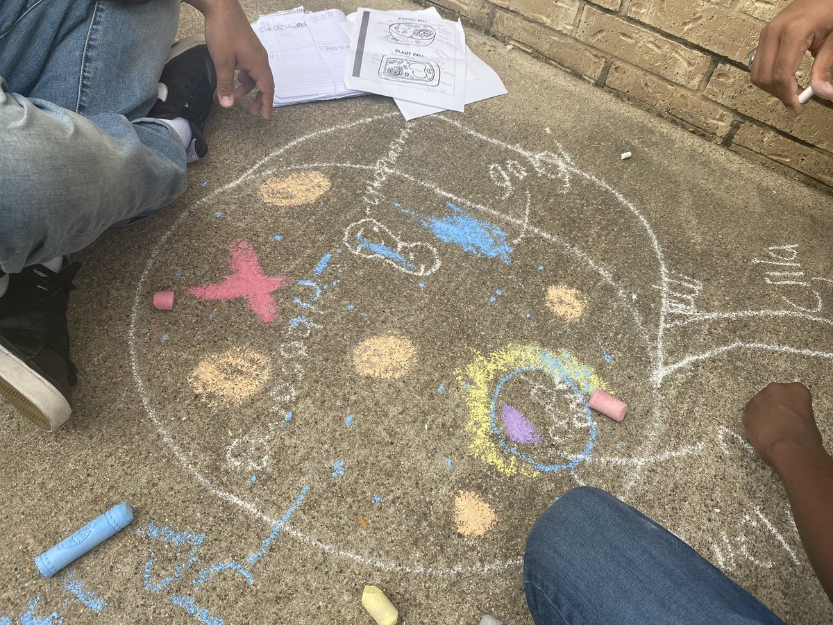 EHSPrincipal's tweet image. We 💚 Biology class! Sidewalk chalk drawings of cells! #ownyourlearning 🦅
