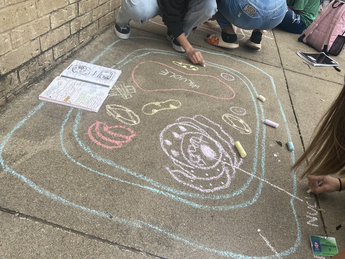 EHSPrincipal's tweet image. We 💚 Biology class! Sidewalk chalk drawings of cells! #ownyourlearning 🦅