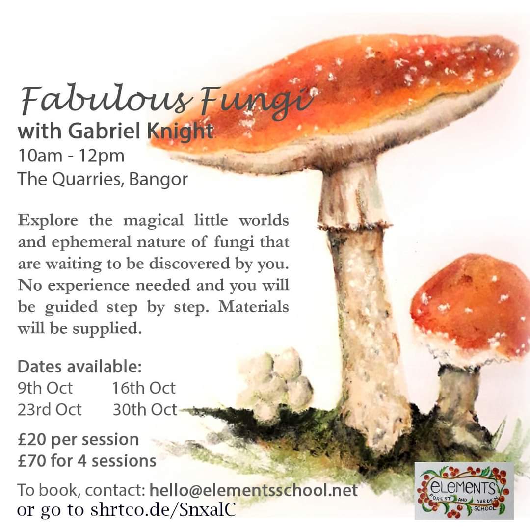 SchoolElements's tweet image. Up and coming attractions! 💚