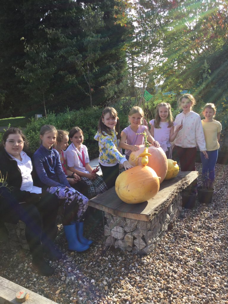 PipersForestSch's tweet image. Pipers Gardening Club @PipersPrep were very proud of their pumpkin harvest. They also had fun in the orchard picking apples to make into very special Pipers apple juice #pipersoutdoors #pipersgrounds #pipersfun