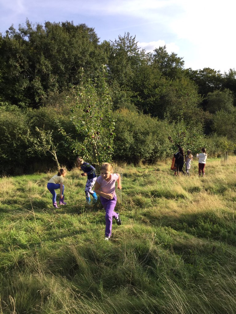 PipersForestSch's tweet image. Pipers Gardening Club @PipersPrep were very proud of their pumpkin harvest. They also had fun in the orchard picking apples to make into very special Pipers apple juice #pipersoutdoors #pipersgrounds #pipersfun