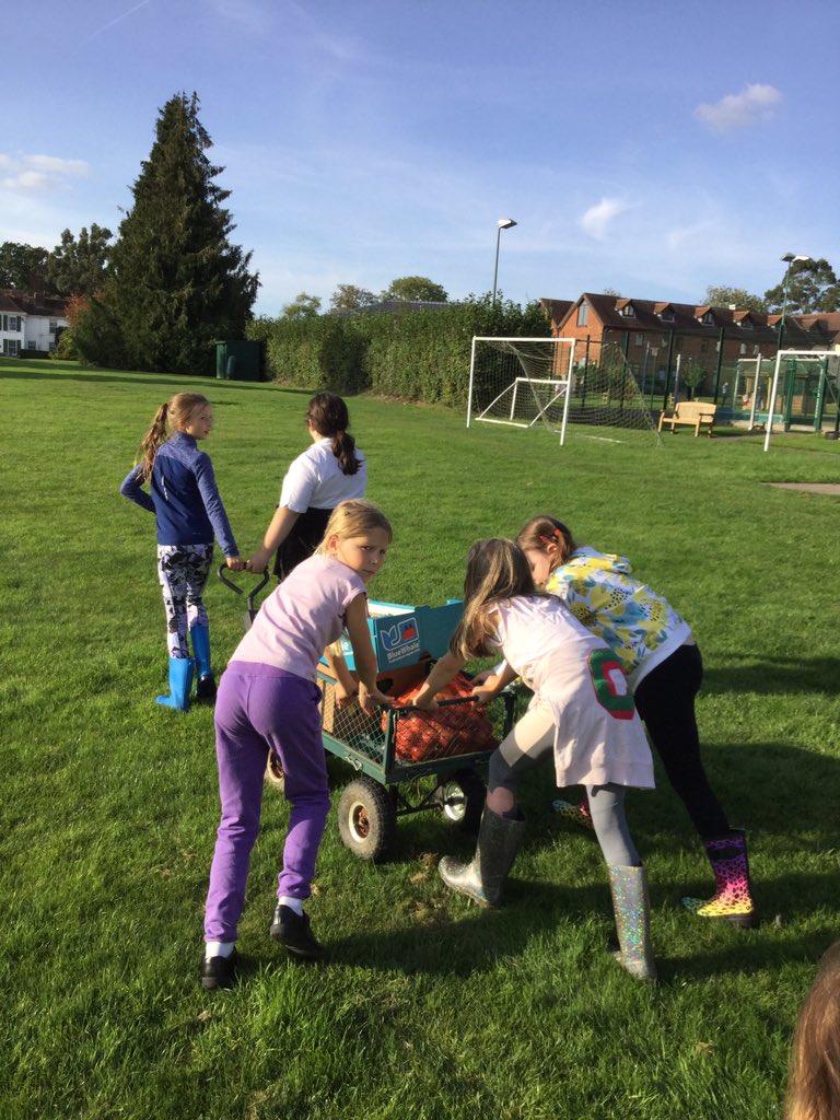 PipersForestSch's tweet image. Pipers Gardening Club @PipersPrep were very proud of their pumpkin harvest. They also had fun in the orchard picking apples to make into very special Pipers apple juice #pipersoutdoors #pipersgrounds #pipersfun