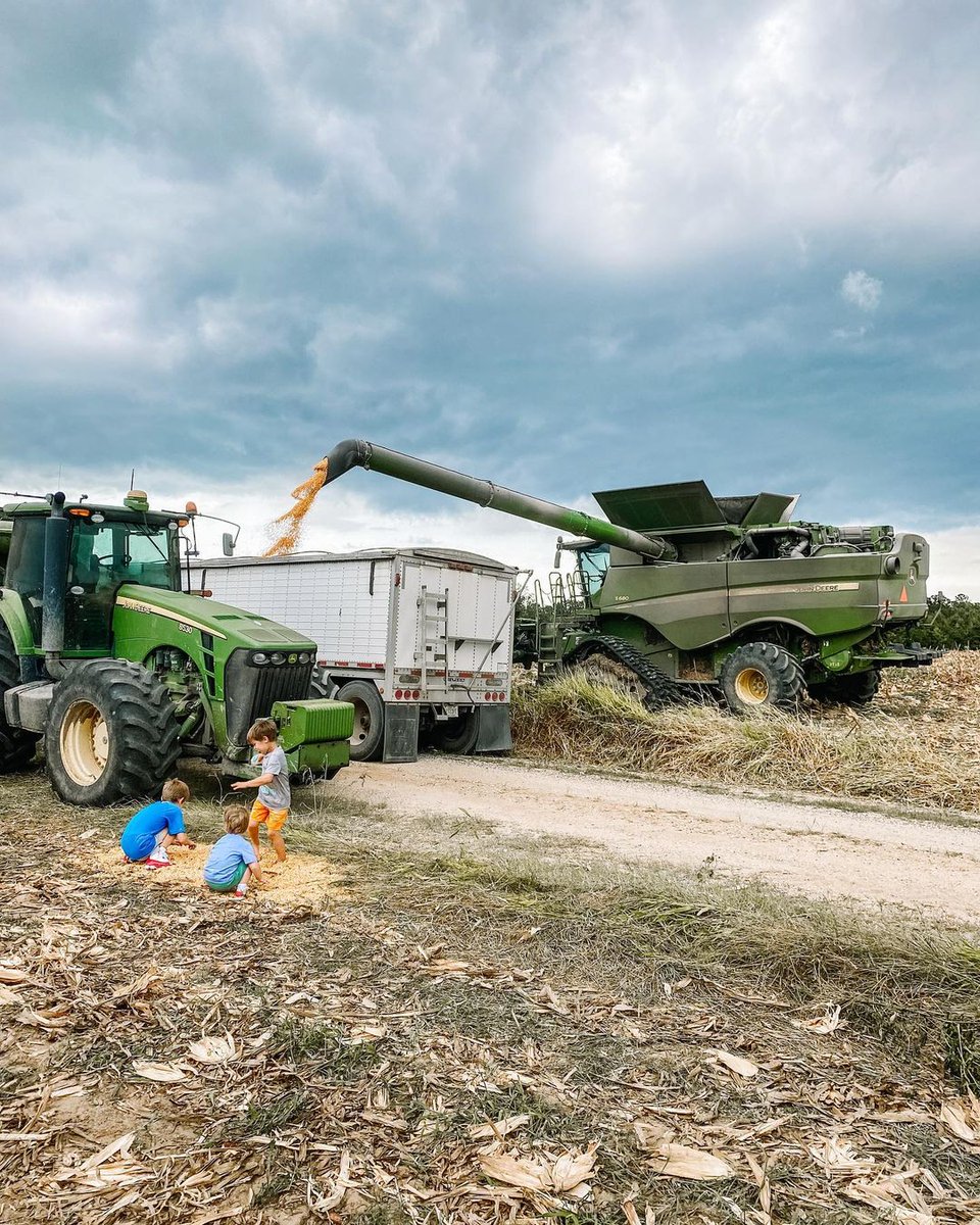 Harvest season is in full swing! 🌾  — how is going your #harvest21 ? 

📸 : cogdillfarms