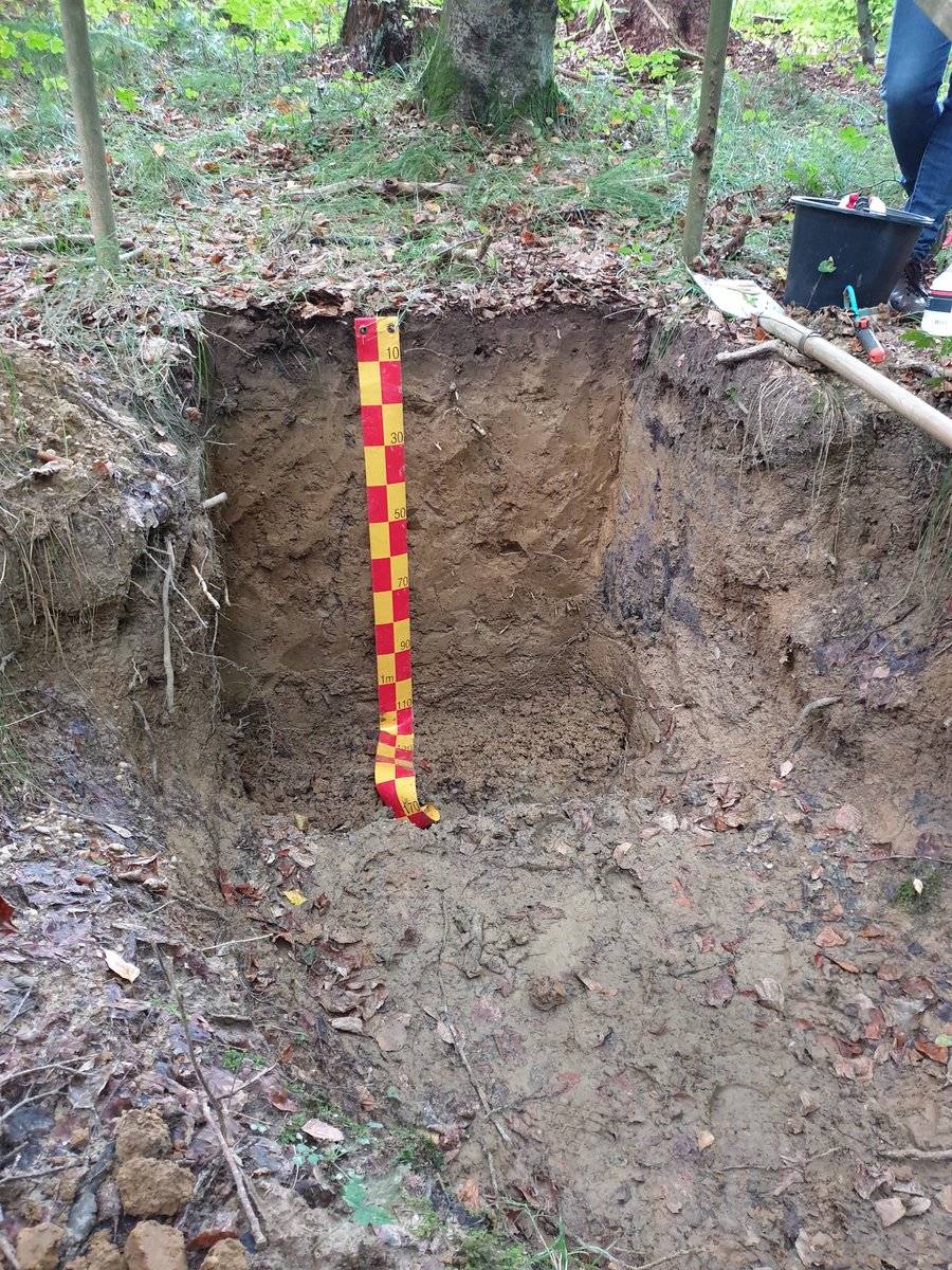 ebruni93's tweet photo. Learning a lot of stuff about soil classification here in Freising today ! #DySOM #soil https://t.co/IOTkFpbAC7