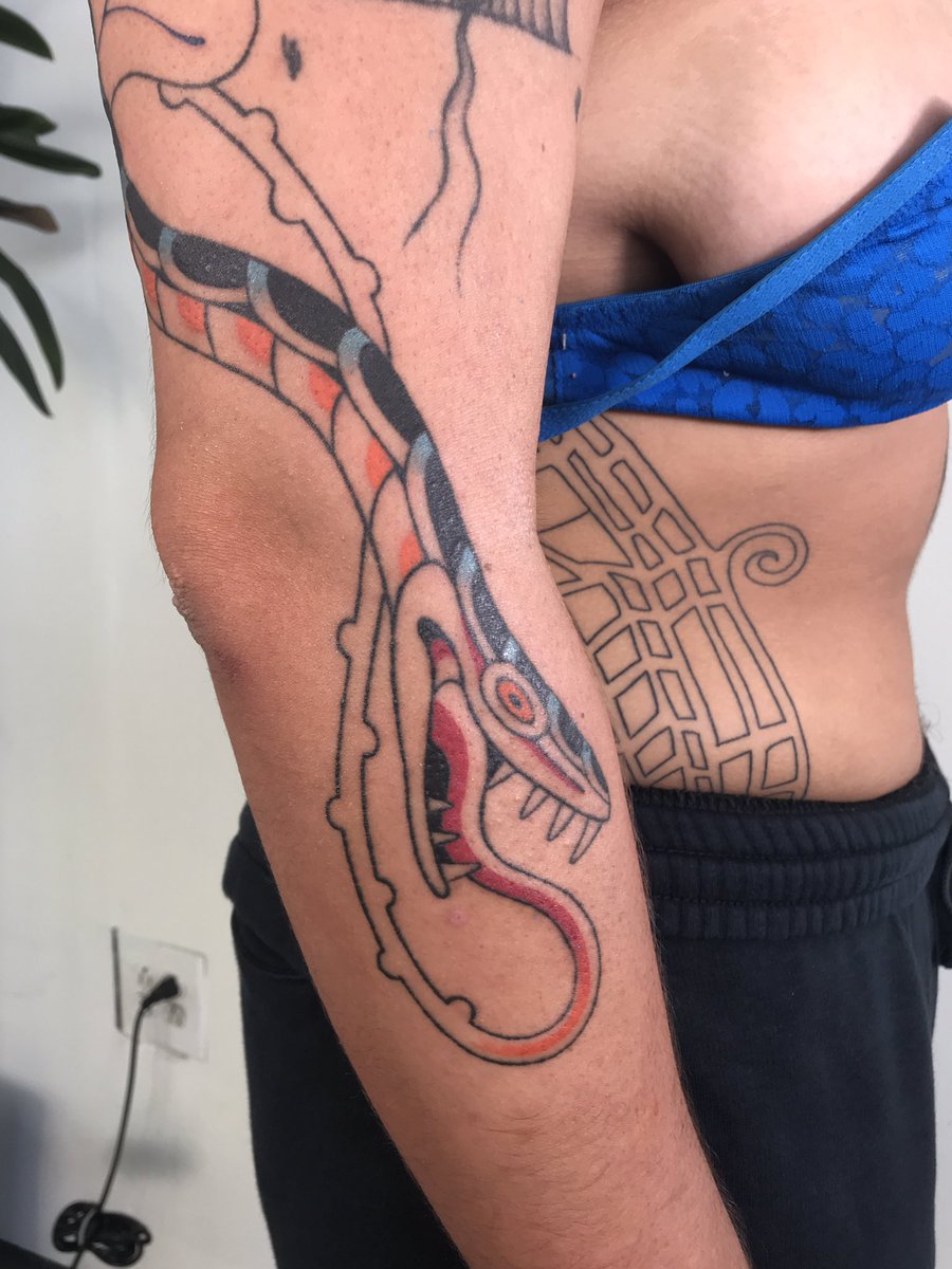 Gossamer Rozen 🐯 NYC tweet media