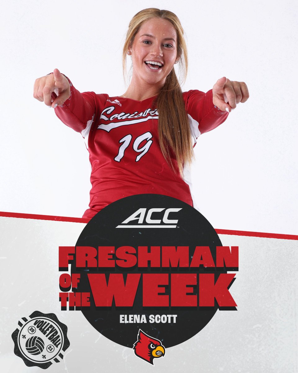 Louisville Volleyball tweet media