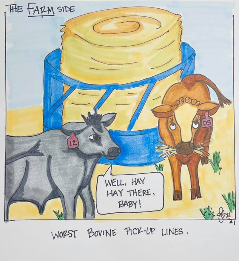 AG360Insurance's tweet image. The Farm Side by Jessica Schierling of Inman KS.  Bovine pick up lines! 🙂  Hope your Tuesday is going grand - if you'd like to see if you can save a grand more or less give us a call for your insurance quotes! 1-800-292-1730 #AG360Insurance