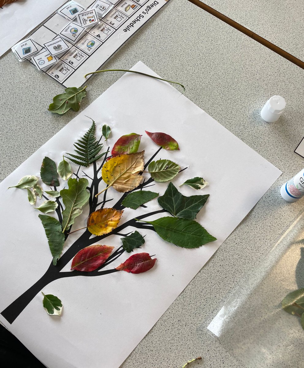 BOLHSMarion's tweet photo. Dosbarth Tudor had a very productive enrichment lesson  with Mr Williams this afternoon, creating beautiful leaf hunt pictures 🍂🍃 https://t.co/I7D46sK2h4