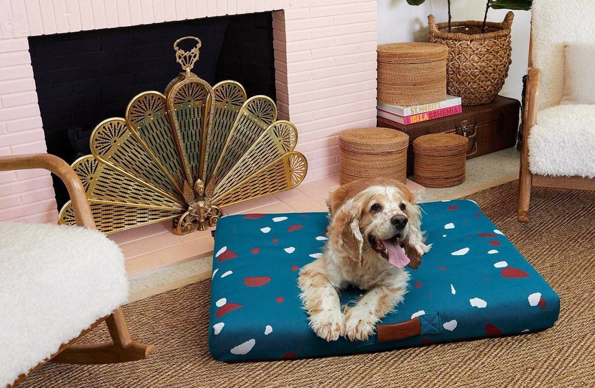fancy's tweet photo. New products from the best-of-the-best small businesses✨: a thread https://t.co/KPLqGKFPl4