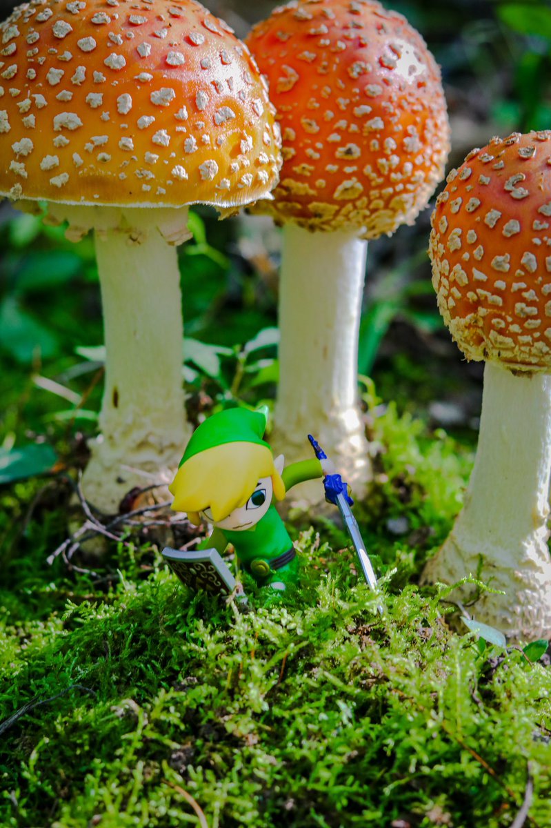 stepbackwards's tweet image. Toon Link &amp;amp; Ivysaur 🍄