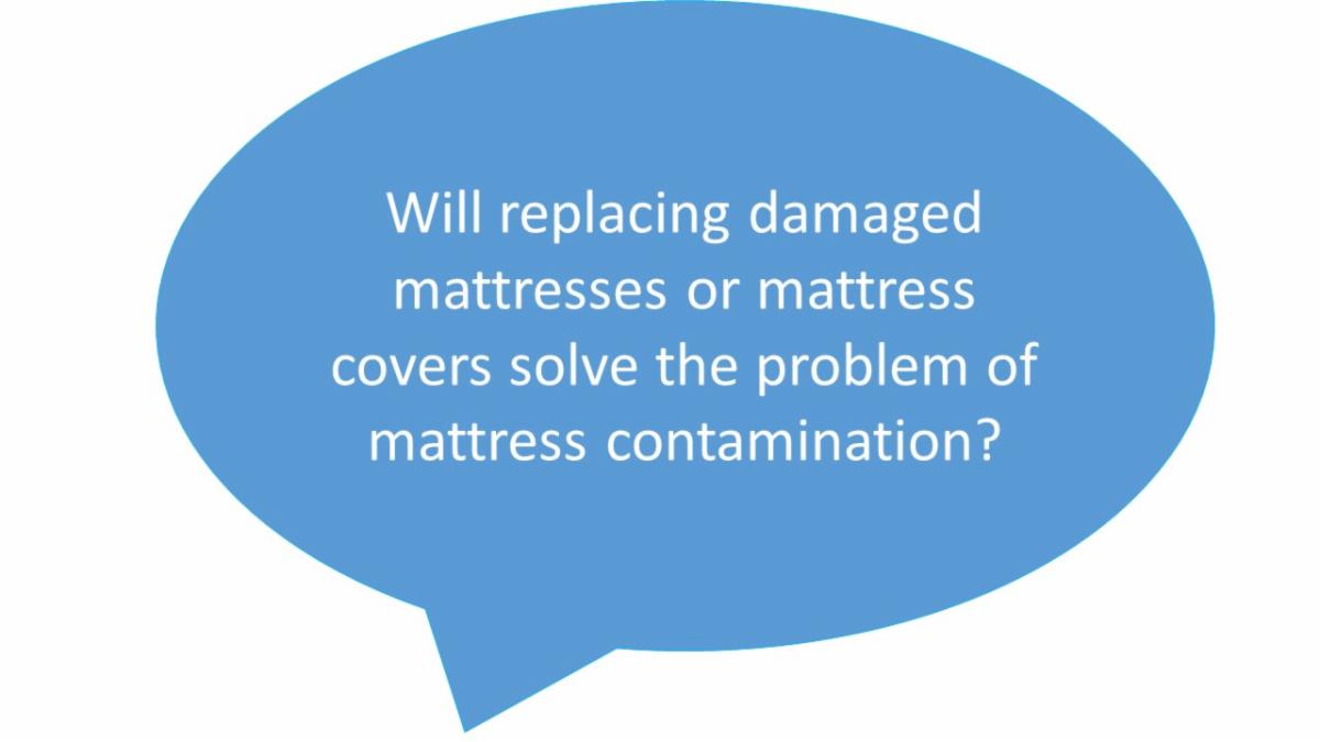 TrinityGuardion's tweet image. conta.cc/39nAZc2