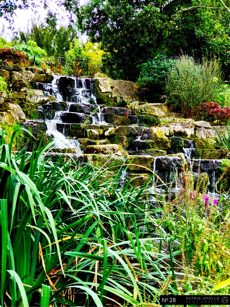 AstridApolloPG's tweet photo. No.28 - Astrid Apollo Phos Graphê
Nature of The City Collection
#photography #photographer #photographyart #art #photographylovers #photographysouls #photographylife #aspiring #nature #portfolio #artist #naturephotography #interiordesign #camera #london #history #regentspark https://t.co/OFPAz22oxJ