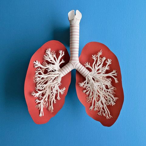 Thoracic Oman tweet media