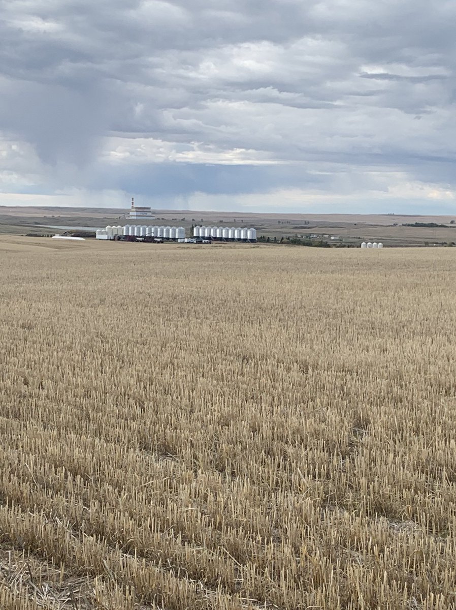 Spending the last few days sampling for my family down south because they want to see what’s in their soil. Looking forward to results coming in! <a href="/Rocking_W_Farm/">Greg Willford</a> <a href="/westernagNWSK/">WesternAg North West Sask.</a>