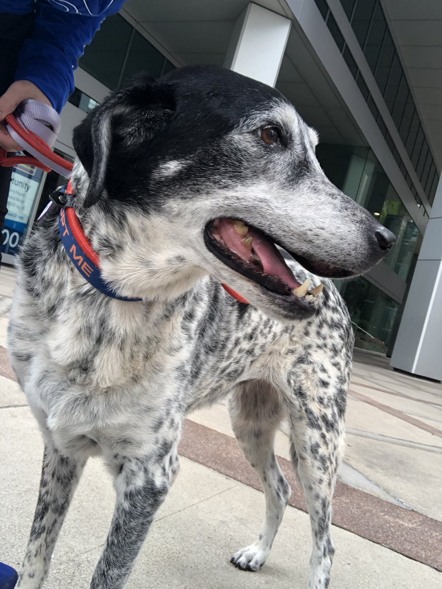 Victoria tweet media