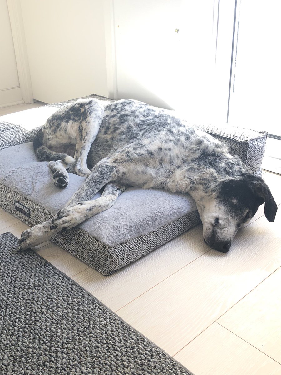 Victoria tweet media