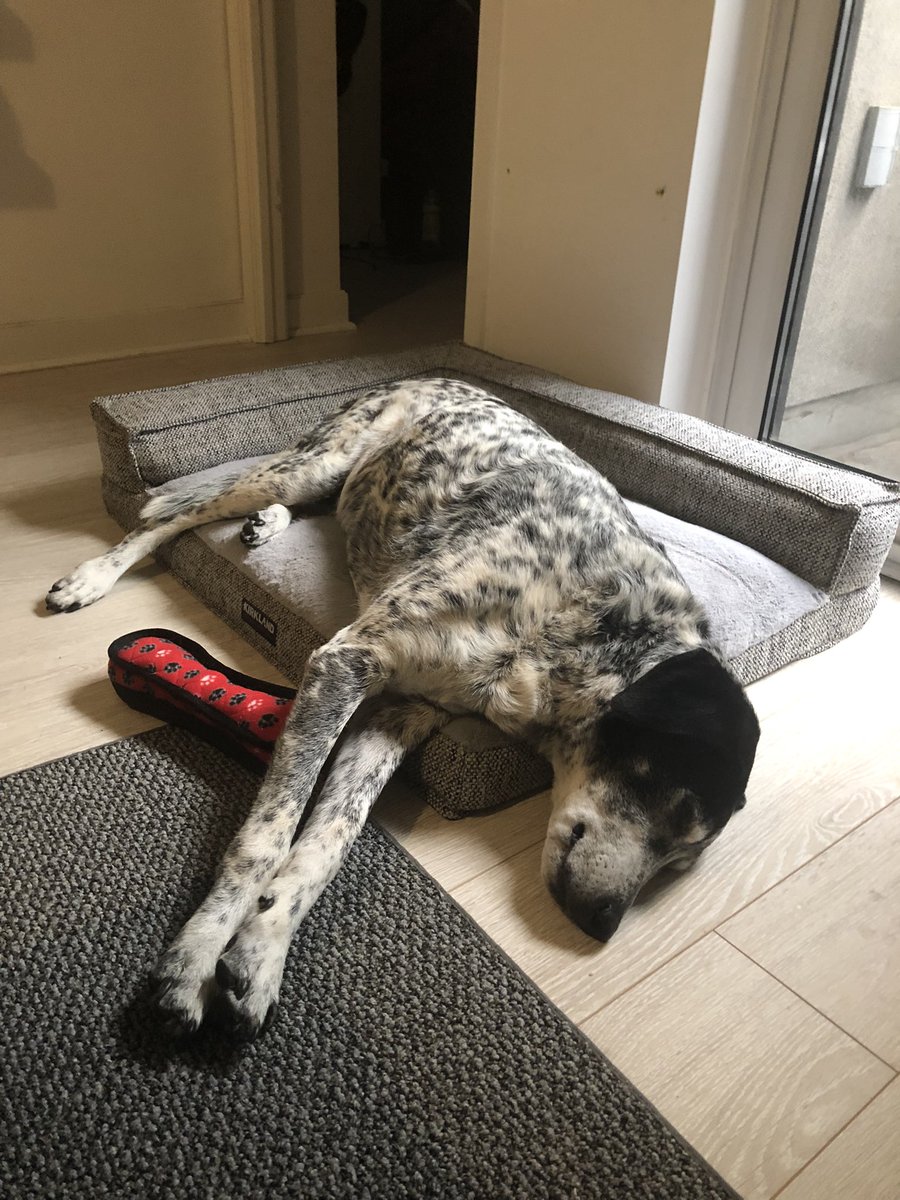 Victoria tweet media