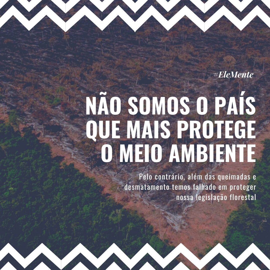 adtamazonia's tweet image. Até poderíamos comemorar que temos uma legislação florestal muito avançada, isso se ela não fosse constantemente atacada e seus prazos de implementação sempre adiados. #SalveOCodigoFlorestal #EleMente