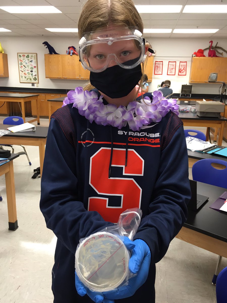 MPHScienceDept's tweet image. 6th grade scientists squealed with excitement upon seeing the microbial growth from the surfaces they elected to swab. The power of comparison between a control and experimental side was apparent!