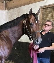 Vodka Mardini, shown here with assistant Toby, runs Friday at Belmont park. #vodkamardini #hotcitygirl #bernardini #nyra #ladysheilastable #racehorse #thoroughbred