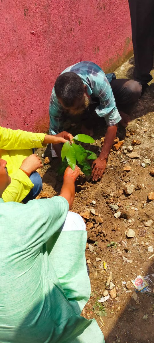WCDSingrauli's tweet photo. Launching of "Poshan  Vatika" (Kitchen garden) @ 177 Anganwadi center by Hounarble Public Representatives during Poshan month on the occasion of completion of 20 year of"जन कल्याण और सुराज"#पोषणमाह #wcd
#poshanvatika #singrauli #nutrition .
Team WCD Singrauli https://t.co/TsReRfbPkd