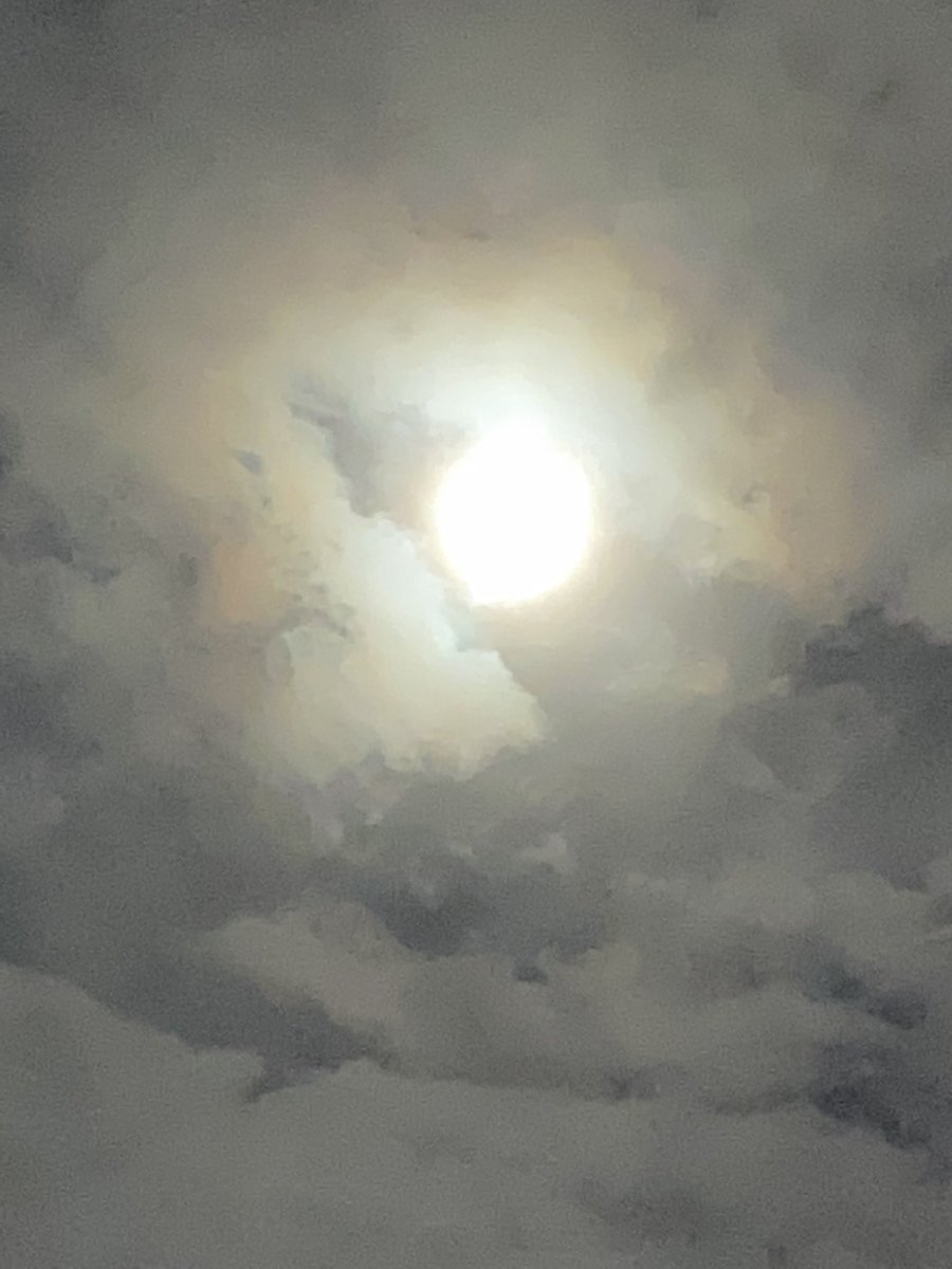 今日の月はとてもきれいです(*´▽`*)