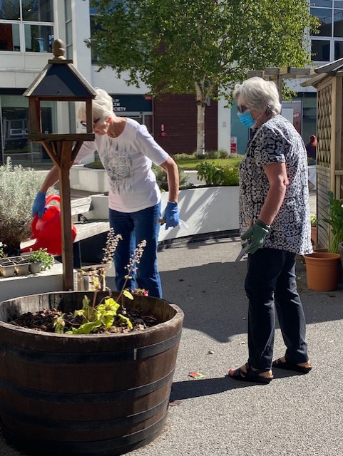 Garden nurturing with dementia associates.  Monday September 20th in super sunny Salford.