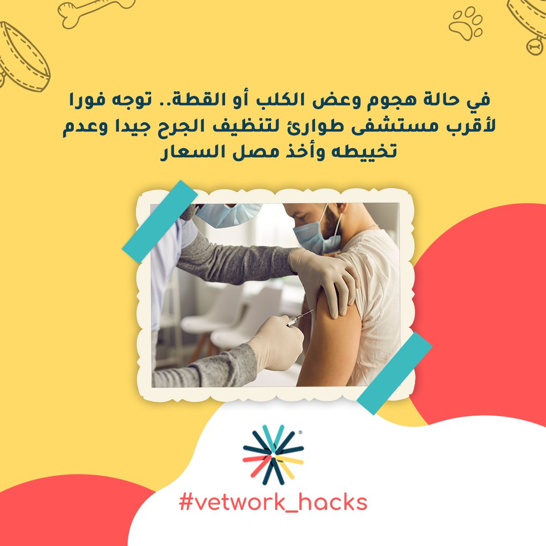 Vetwork_App's tweet photo. في حالة هجوم وعض الكلب أو القطة .. توجه فورا لأقرب مستشفى طوارئ لتنظيف الجرح جيدا وعدم تخييطه وأخذ مصل السعار https://t.co/XqFvnNdaR8