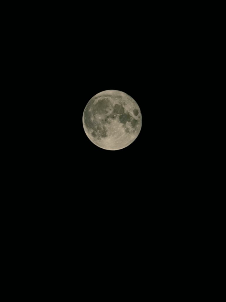 Myly_myonly's tweet photo. Alo----ha🤙🤙🌴
今夜は中秋の名月
Hoku=満月・十五夜🌕
バッチリ撮影出来ました。
月が綺麗ですね 
Mahalo! https://t.co/aEgTf26ry3
