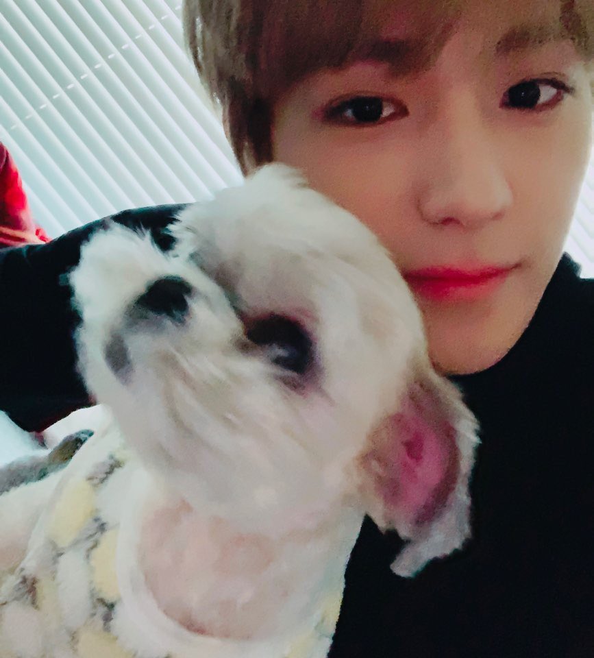 0h0h0h0h08's tweet photo. 아니진쯔앜 너무 웃기다 우리 송도오빠들 오빠들을향해가족이돼주라내집이돼주라부르는 대한민국여성만 대략삼억팔천명인데 무심다롱왕자님 무심보리공주님 마음하나 얻지못해서 매일 쩔쩔매는 팔불출 180 오빠들이 말도몬하게ㅜ사랑스럽따 진짴ㅋ https://t.co/gLjWfwMHYA