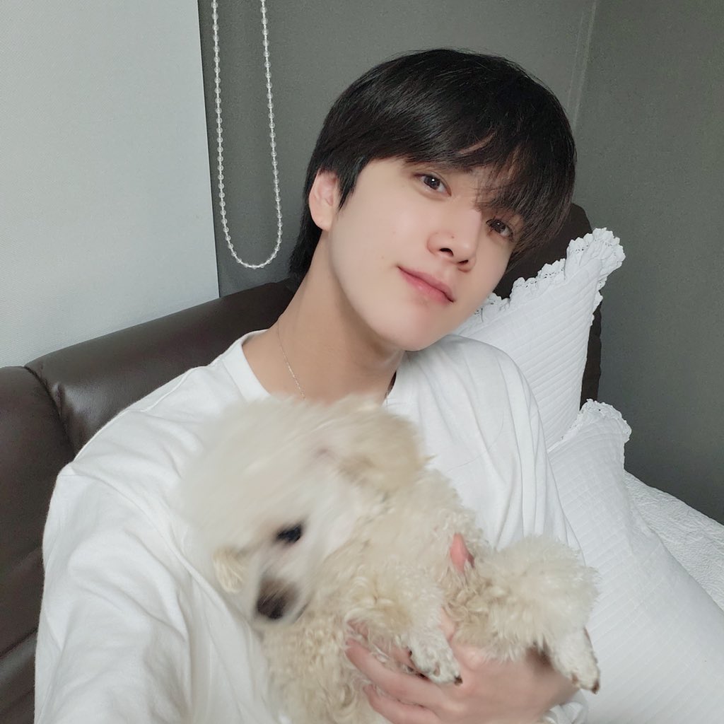 0h0h0h0h08's tweet photo. 아니진쯔앜 너무 웃기다 우리 송도오빠들 오빠들을향해가족이돼주라내집이돼주라부르는 대한민국여성만 대략삼억팔천명인데 무심다롱왕자님 무심보리공주님 마음하나 얻지못해서 매일 쩔쩔매는 팔불출 180 오빠들이 말도몬하게ㅜ사랑스럽따 진짴ㅋ https://t.co/gLjWfwMHYA
