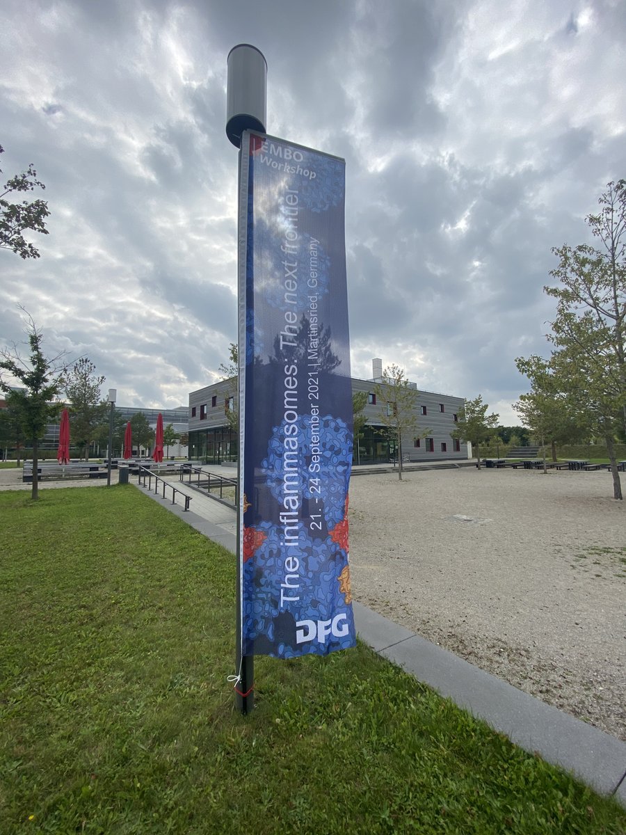 Veit Hornung tweet media