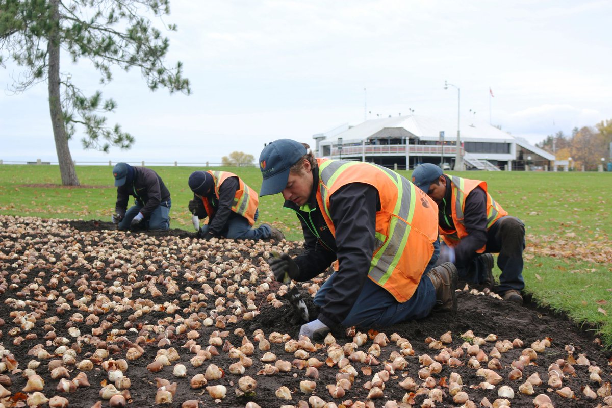 One of our contractors, <a href="/Strathmorepro/">Strathmore</a>, won the 2021 National Commercial Landscape Maintenance Award of Excellence for the maintenance of the Rideau Canal corridor. Congrats!
