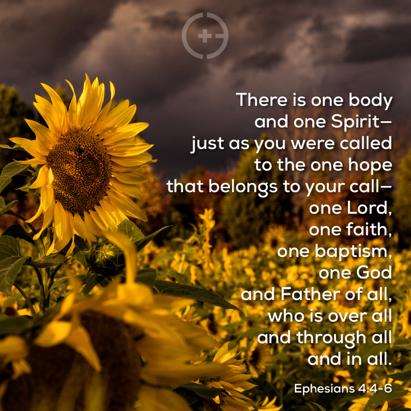 carmelbaptist's tweet photo. God, make us ONE by the power of Your Spirit, that we may be filled with hope as we walk out Your calling on our lives - together. Amen.
#SundayMorningsatCarmel #Ephesians #WhoWeARE|WhatWereFOR #makeusONE https://t.co/5y3FsuX0mG