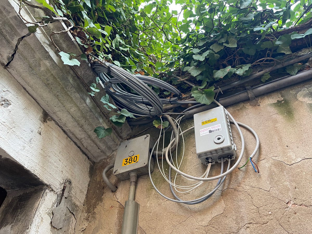 fabiandoehla's tweet photo. Venedig, die zuckersüße Lagunenstadt, die vor Ewigkeiten auf fu**ing Holzbalken erbaut wurde, verfügt übrigens in jedem noch so abgelegenen Winkel über Glasfaser. Wo haben eigentlich deutsche Politiker und Politikerinnen in den letzten Jahrzehnten Urlaub gemacht? https://t.co/gnKPsi36Nx