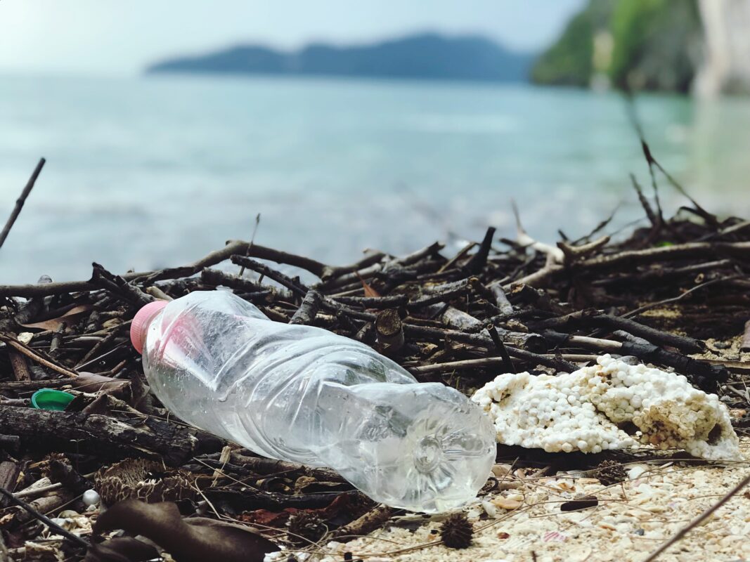 FashionizerSpa's tweet photo. .@SpaSustainable
 have had a great result from their #plasticfree July campaign &amp; we were proud to be a part of it!

#sustainability #fashionizer #RecycleWeek #LetMinnowIfYouLoveTheOceanAsMuchAsWeDo

https://t.co/jjs7xSvV6R https://t.co/x0j8EmGuWw