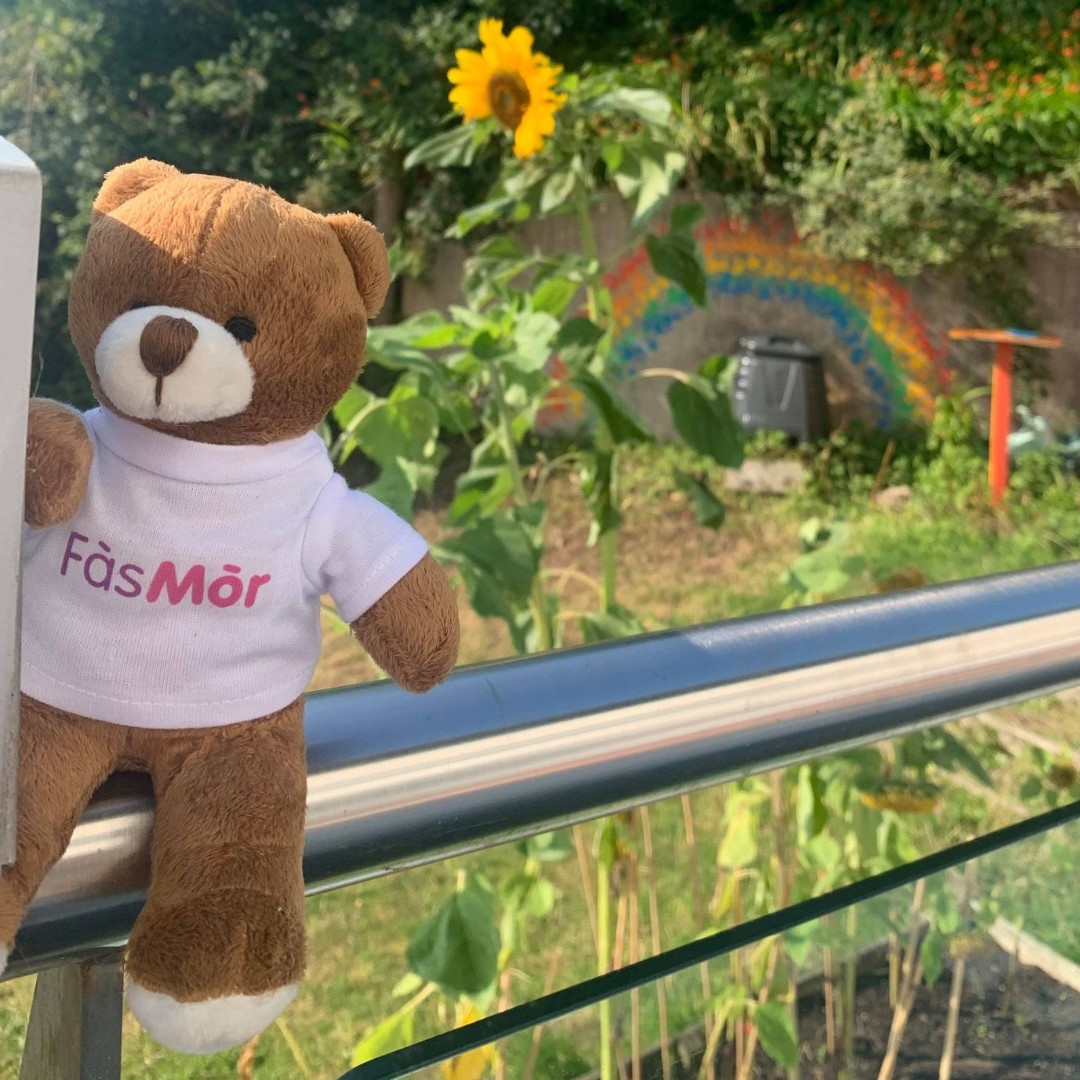 Henry and Fàs Mòr are enjoying these beautiful echos of summer in the garden!
Fàs Mòr is a childcare facility  offering local families provision through the medium of Scottish Gaelic. Tapadh leit!

#scottishgaelic #memoriesofsummer #softtoy #cuddlybear #sunflower