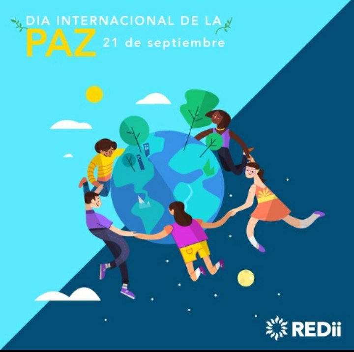 REDii tweet media