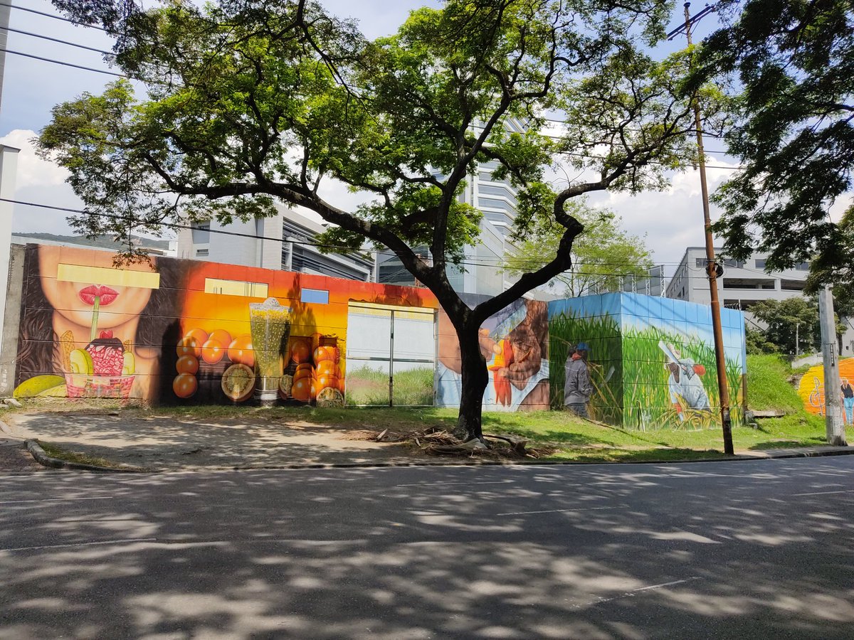 soyjsebas18's tweet photo. Me encanta cuando le dan vida a estos espacios con murales representativos de nuestra región #JhoanFotos
.
.
#fotosdecali #Fotos #fotoconcelular #fotosurbanas #Cali #Colombia https://t.co/t8oUuujCuN