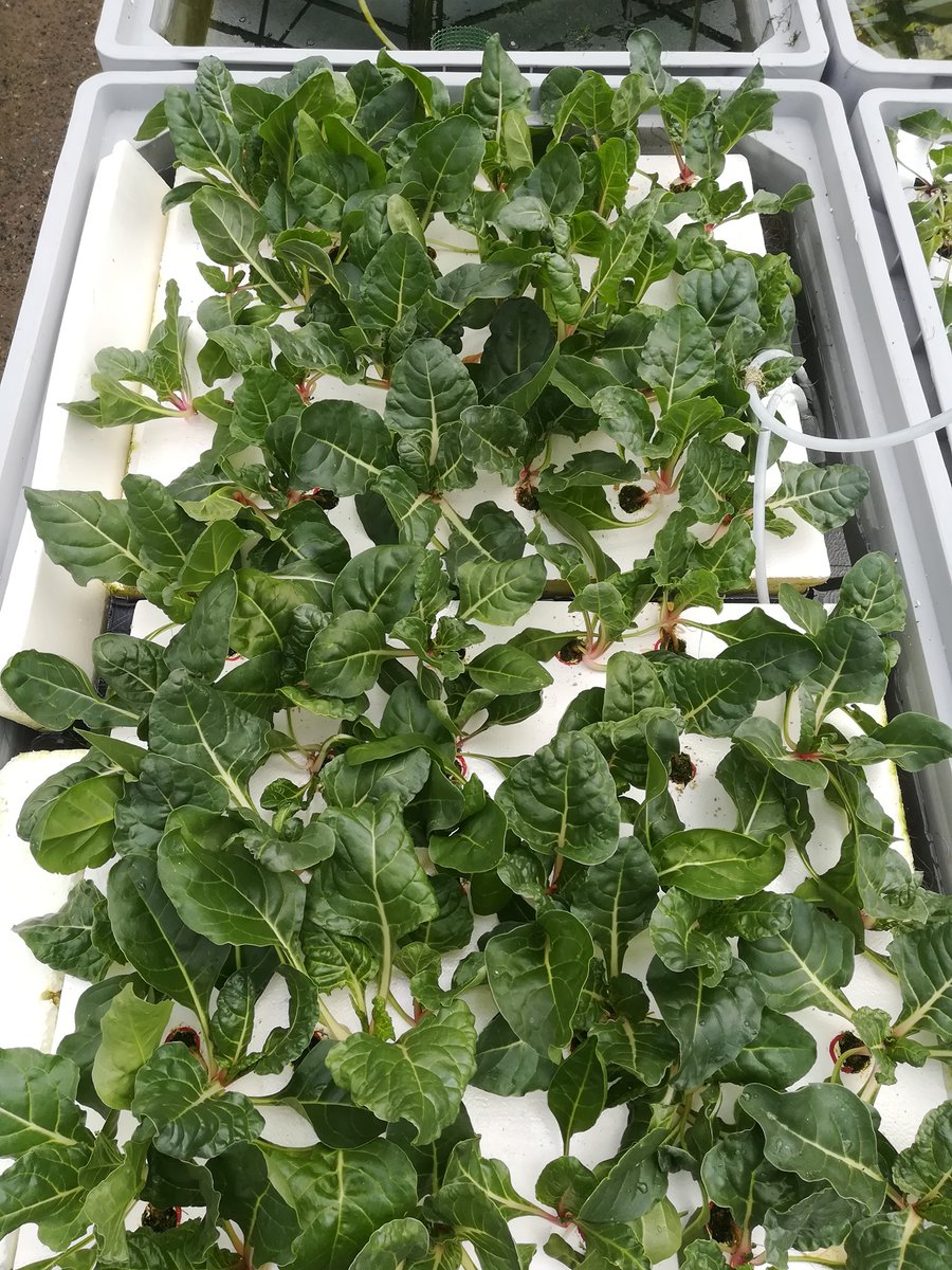 SIMTAP Project tweet media