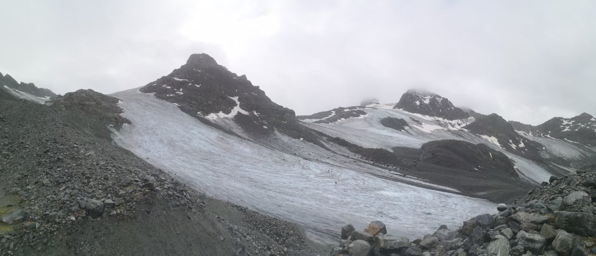 Synthetic Quant Syst tweet media