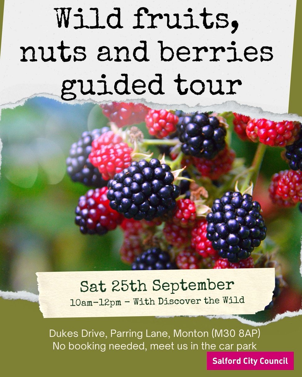 Bridgewater Canal (@salfordcanal) on Twitter photo π this saturday #FREE foraging guided tour of #DukesDrive Park in #Monton π
<a href="/ilovemonton/">I Love Monton</a> <a href="/montonlife/">Monton</a> @SalfordWildlife <a href="/VisitSalford/">Visit Salford</a> <a href="/WorsleyInfo/">Worsley.info</a> <a href="/VisitWorsley/">Visit Worsley</a> <a href="/ecclesteam/">Eccles Neighbourhood</a> <a href="/WalkdenC/">Walkden Community</a> <a href="/WhatsonWorsley/">What's on Worsley</a> <a href="/RHSBridgewater/">RHS Bridgewater</a> π this saturday #FREE foraging guided tour of #DukesDrive Park in #Monton π
<a href="/ilovemonton/">I Love Monton</a> <a href="/montonlife/">Monton</a> @SalfordWildlife <a href="/VisitSalford/">Visit Salford</a> <a href="/WorsleyInfo/">Worsley.info</a> <a href="/VisitWorsley/">Visit Worsley</a> <a href="/ecclesteam/">Eccles Neighbourhood</a> <a href="/WalkdenC/">Walkden Community</a> <a href="/WhatsonWorsley/">What's on Worsley</a> <a href="/RHSBridgewater/">RHS Bridgewater</a>