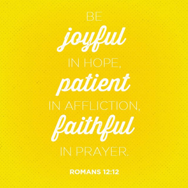 Celeste Shields tweet media