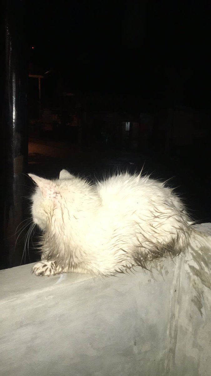 cursedkidd's tweet image. SAPAA YG SURUH KM UJAN2AN???!!!!