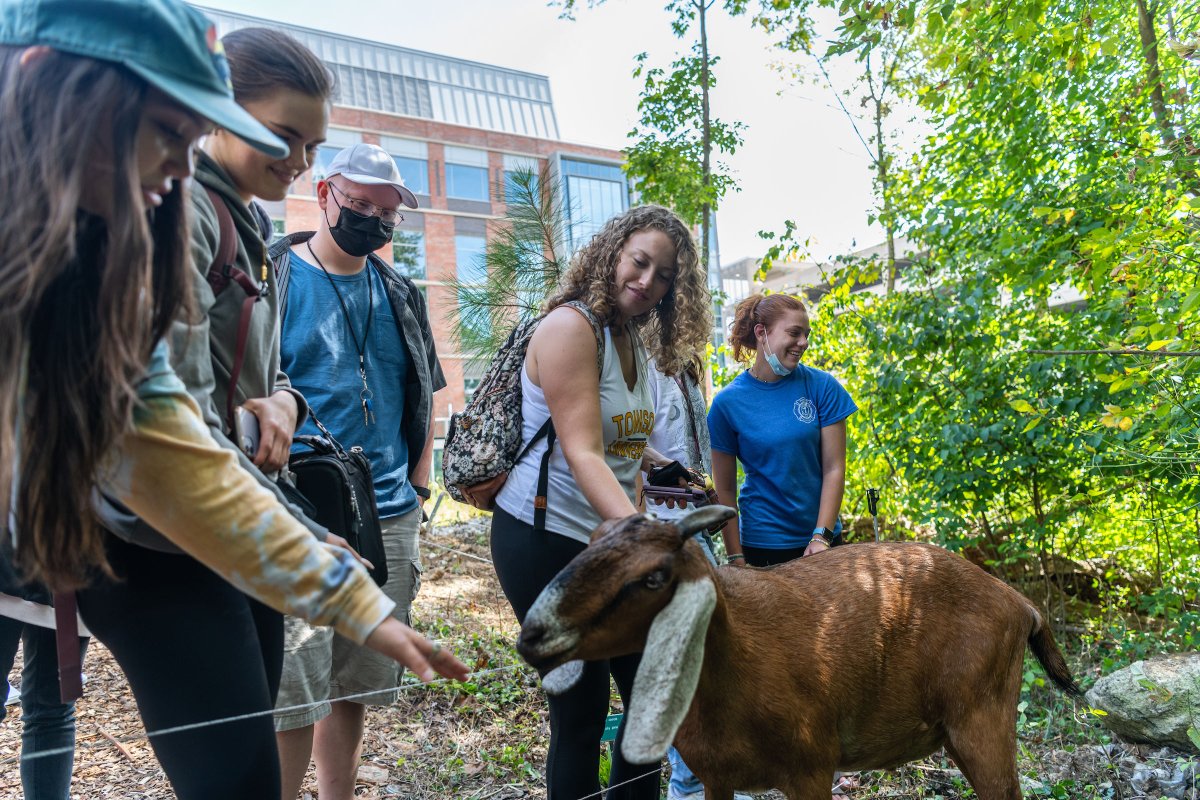 Towson University tweet media