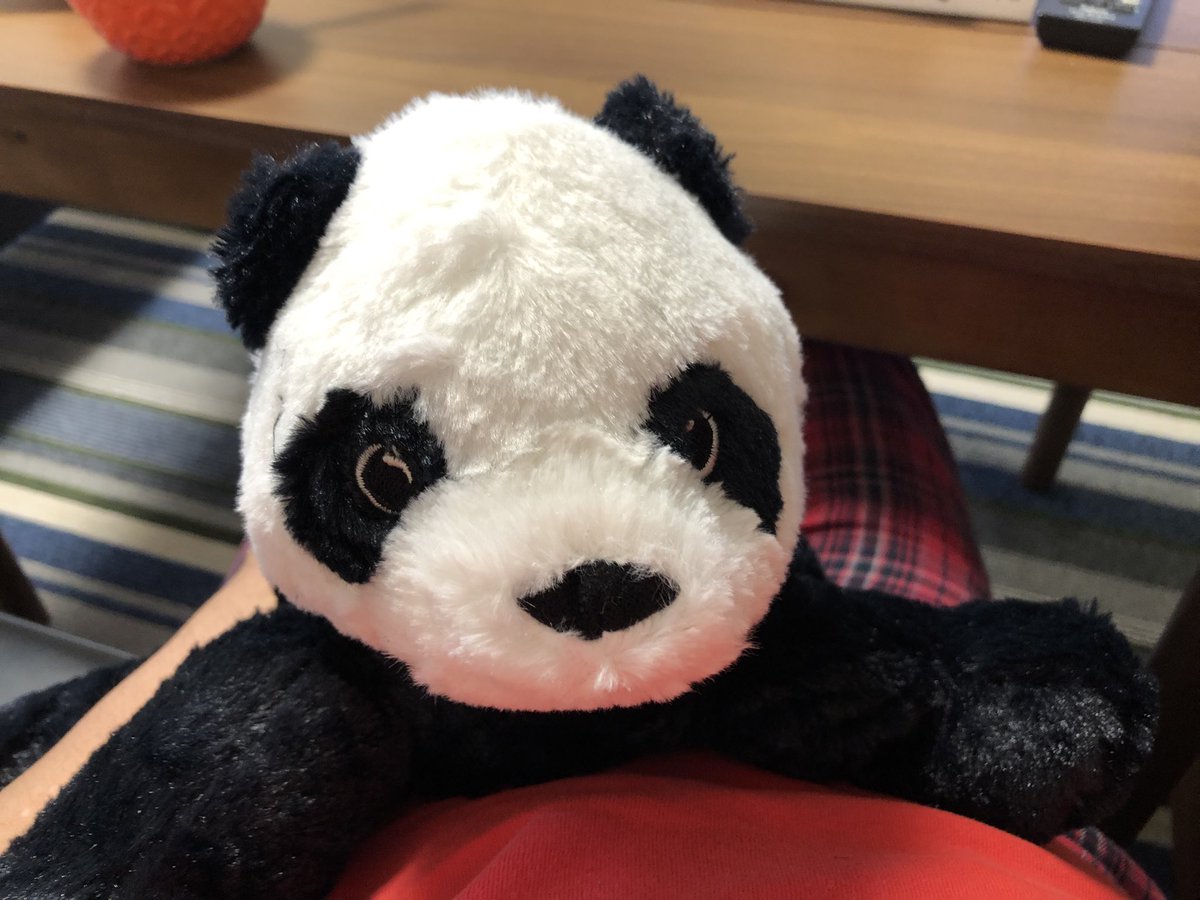 ぱんだ Twitter Search