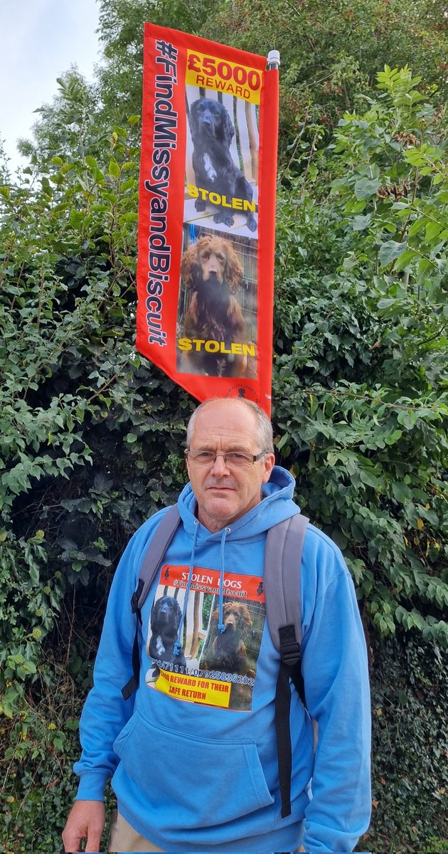 Rachel Lilley #FindMissyandBiscuit tweet media