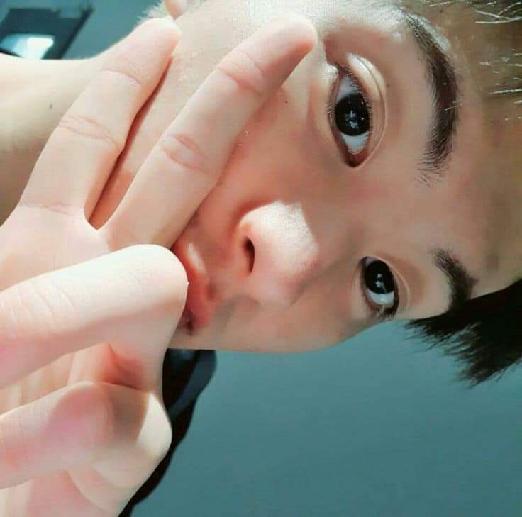 AsteroidJS's tweet photo. Isi galeri wassapmu ketika pcran sama mark https://t.co/OD7raKb60x