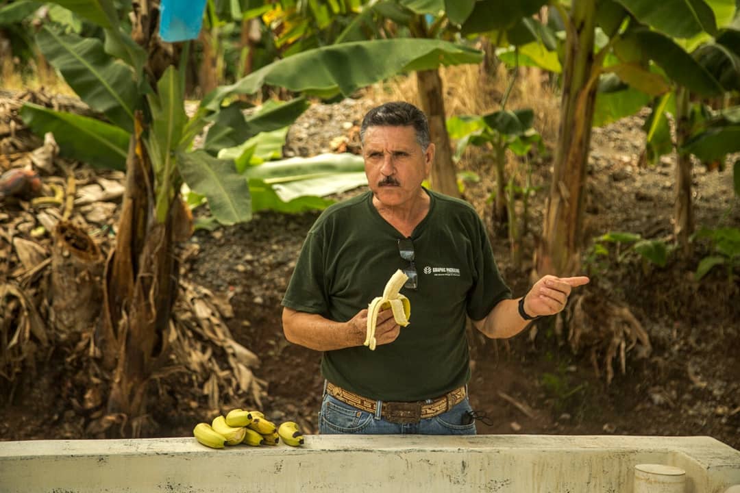 «En la sierra-costa michoacana todavía quedan algunos bastiones que continúan sus labores de seguridad con el apoyo de la mayoría de los habitantes. La gente en Coahuayana se armó para proteger los plantíos de plátano» vía <a href="/mexevalua/">México Evalúa</a>
mexicoevalua.org/michoacan-una-…
#Michoacán